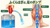 「歩いても足のむくみが取れない──足首と呼吸、2つのポンプを動かす3つの習慣【荒川区/東日暮里・南千住・町屋　フィーリングス日暮里整体院 】」
