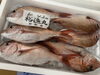 「鮮魚パックいろいろ販売中‼️〆鯖も販売致します🐳」
