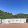 「地元産『山椒の実』入荷します！道の駅木曽福島」