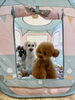 ボールプール遊び　こなつ＆理玖＆くま「ましゅまろ幼稚園🐾　パート1」