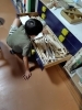 どの木がいいかなぁ…「作りたいものは車です。」