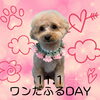 「Dog salon mofu mofu　余市町」