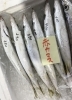 「魚魚市場鮮魚コーナーおすすめは「ギンガメアジ」です♪」
