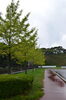 引揚記念公園「本日『館内語り部ツアー』11時より開催します❕」