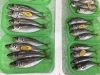 「魚魚市場鮮魚コーナーおすすめは「地タコ」です♪」