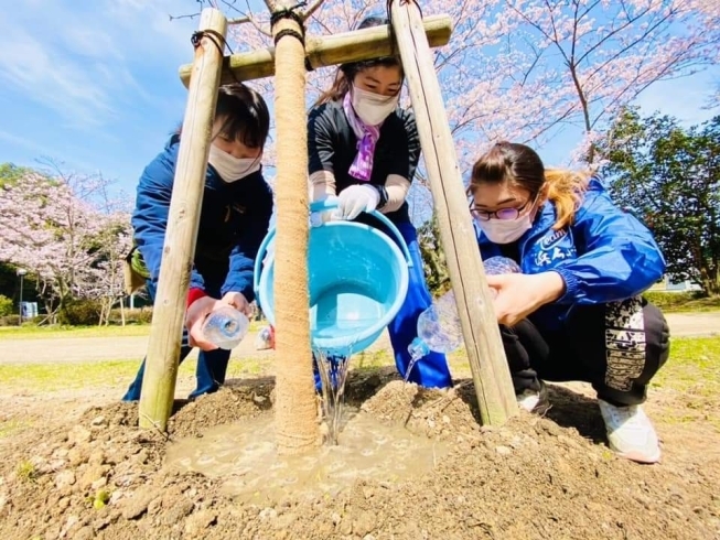 「地域の清掃活動」