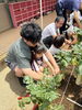 「🍀年長 はと組１学期保育参観🍀」