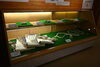 ヘビの標本も展示中「干支展 巳「-巳（み）て！知って！🐍ヘビの不思議！-」」