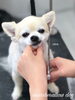 「秋のオプションキャンペーン^ - ^」