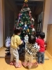 「今日の1枚📷」