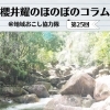《第25回》小さな大工さん