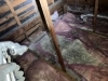 住まいのお悩みを解消、安心をお届け「屋根裏の害獣糞尿被害に注意⚠️」