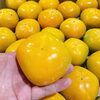 「奈良県産　「ハウス柿」でーす！！」