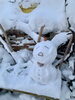 旅人作の雪だるま「Good morning Otaru!」