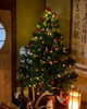 クリスマスツリーを飾りました「Good morning Otaru」