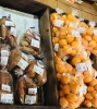 「魚魚市場鮮魚コーナーおすすめは「イシガキダイ・有頭エビ」です♪」