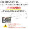 見た目が変わる＝トラブルの予兆かも⁈「トラブル爪のフットネイルケア②」