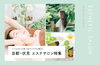 伏見区でおススメの【エステサロン】【リラクゼーション】【脱毛】まとめ