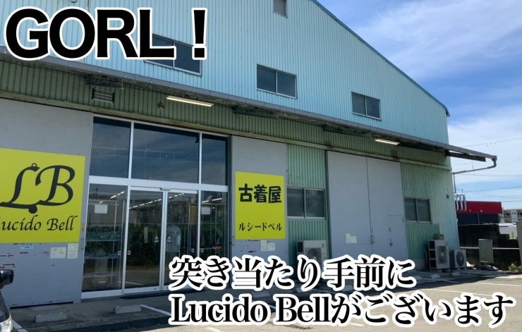 「和歌山市古着屋「Lucido Bell」のアクセス方法✨」