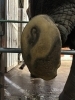 ③消毒治療「#43.リカの足の治療」