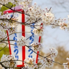 【盛岡】盛岡城跡公園