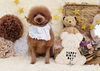 「Anniversary photo　(^O^)／」