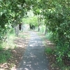 朝霞・志木・新座・和光の公園ガイド
