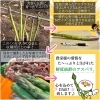 「アスパラ農家様へ突撃‼︎訪問‼︎してきちゃいました🏃‍♀️」