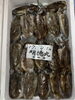 甲イカ「本日鮮魚入荷致しました」