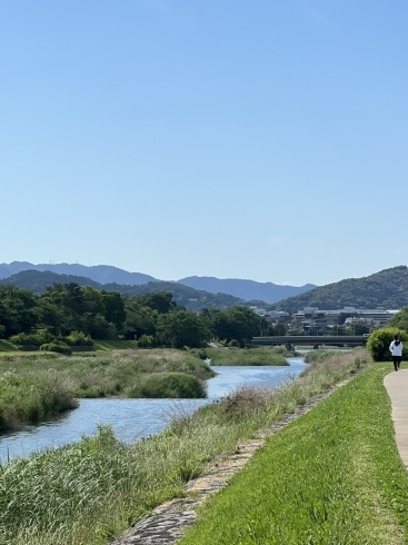 南向き「鴨川散歩　京都でホームページ制作　」