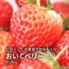 おいCベリー