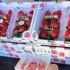 5月頃まで毎日販売「まいぷれ橿原編集部がおすすめする年末年始営業している橿原市イチゴ直売所【とのあさイチゴ農園】さん」
