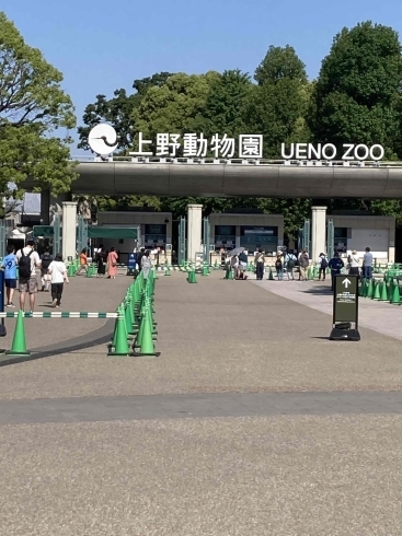今回、動物園は入らず「あの大学を訪問！【東京旅行記第一弾】」