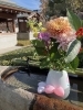 花の神社「今年こそASL工法の滑り止めで安全対策を！」
