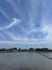 「【新居浜】田植えしてみた」
