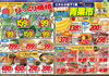 「1月17日（金）～1月18日（土）　チラシ」