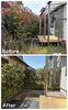 裏庭の剪定と除草作業「川西市水明台で庭木の手入れ(レッドロビンの剪定)をしました!」