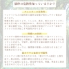 「職人がつくる本物の猫砂【にゃんペレ】発売開始🐈‍⬛🐾」