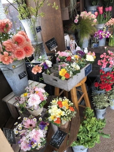 船橋店もミモザ入荷しました 船橋のお花屋さん フラワーギフトが人気 芽ぶき屋 船橋店のニュース まいぷれ 船橋市 船橋店もミモザ入荷しました 船橋のお花屋さん フラワーギフトが人気 芽ぶき屋 船橋店のニュース まいぷれ 船橋市