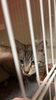 ゆう君「8月ご利用頂きましたお客様③【 札幌市 北区 catbeard キャットビヤード⠀】」