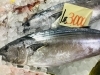 「魚魚市場鮮魚コーナーおすすめは「のどぐろ」です♪」