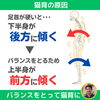 猫背は足首から解消01「猫背は足首から解消！【外反母趾や巻き爪、足の悩み専門整体/千葉県船橋市西船徒歩2分】」