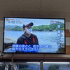 「夏といえば牡蠣！」
