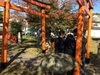 「並木稲荷神社へ舞鶴探訪（3年生キャリア探求） 」