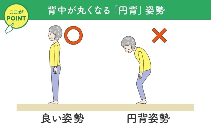 「円背姿勢」はバランス能力の低下にもつながります。「年をとって気が付くと「歩けない」なんてことも…。「歩く事の大切さ」と「高齢者の歩行」に関してお伝えします。」