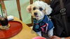 ルイちゃん「今日のお友達」