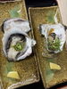 岩牡蠣　生牡蠣＆焼牡蠣「舞鶴産！濃厚クリーミーな岩牡蠣で京丹後の夏を先取り　生でも焼きでも贅沢に」