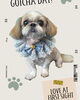 「Dog salon mofu mofu　余市町」