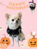 「Dog salon mofu mofu　余市町」