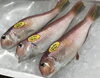 「魚魚市場鮮魚コーナーおすすめは「エビスダイとアマダイ」です♪」